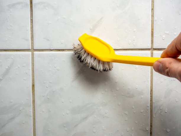 Best Localized Mold Remediation (e.g., coastal areas, humid climates) in Perezville, TX