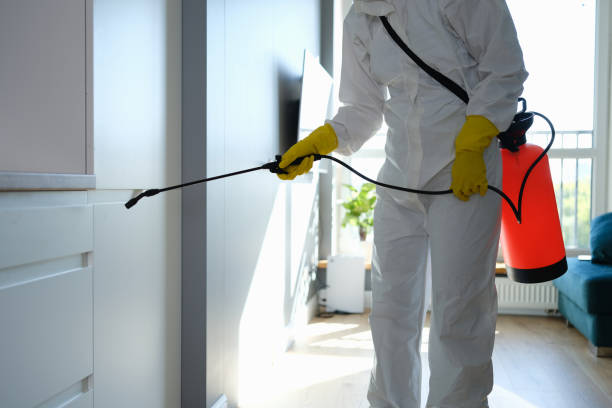 Best Post-Remediation Services in Perezville, TX